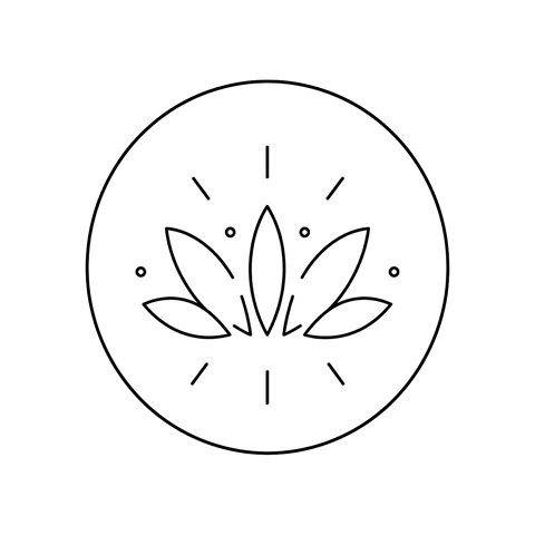 花の表現